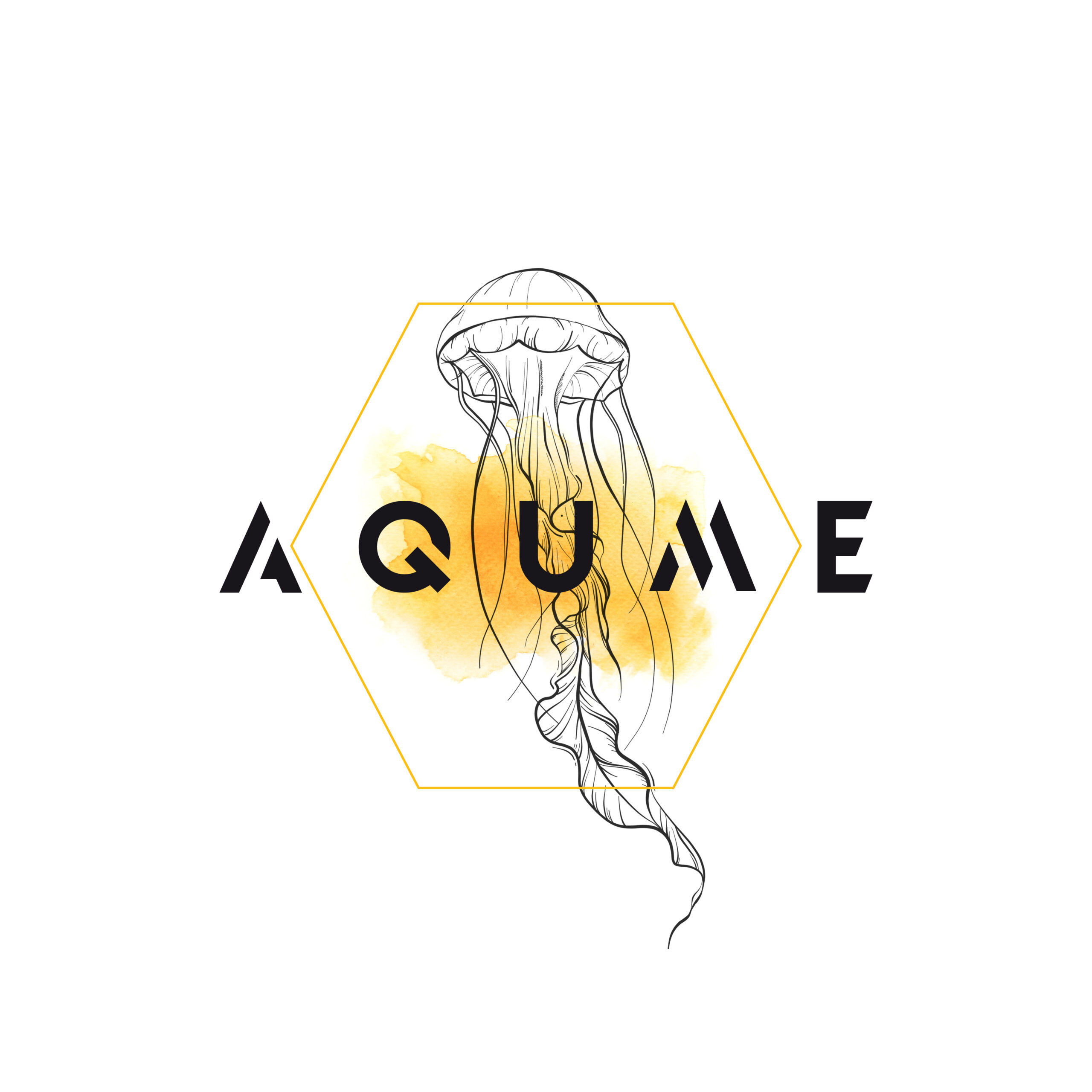 logo-AQUME-5